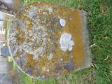 image of grave number 845085